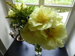 Düngen musst du die pflanze nur. Pfingstrosen Die Richtige Pflege Nachgeharkt