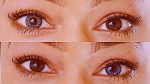 Are Gray Contacts On Brown Eyes Realistic Freshlook Sterling Gray Contacts
