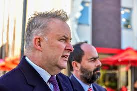 Anthony Albanese backs future Ross Hart run in Bass