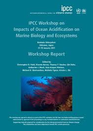 He is based on joseph joestar from part 2 of jojo's bizarre adventure. Ipcc Ocean Acidification Workshop Report