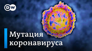 Эта мутация коронавируса случилась в индии, но это могло произойти в любой другой стране. V Indii Obnaruzhili Dvojnoj Mutant Koronavirusa Youtube