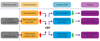 4%) and as an intact ig (38% vs. Osteonecrosis Of The Jaw Beyond Bisphosphonates Are There Any Unknown Ccide