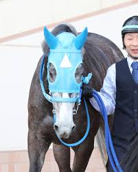 フェアエールング好調！オールカマーで勝利なるか？和田正師も期待！ - Imagen principal del artículo