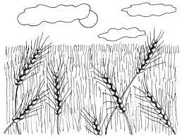 Pin On Prairie Primer Ideas