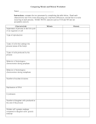 Mitosis and meiosis in the cellular court. Comparing Mitosis And Meiosis Worksheet Mitosis Vs Meiosis Mitosis Mitosis Meiosis