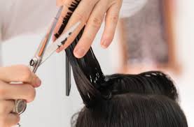 Gunting potog rambut egret dengan bahan stailess stell yang banyak di gunakan oleh para stylish barbershop dan pangkas rambut. Tips Memotong Rambut Di Rumah