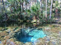 See 121 traveler reviews, 97 candid photos, and great deals for chassahowitzka river campground, ranked #2 of 9 specialty lodging in homosassa and rated 4 of 5 at tripadvisor. Chassahowitzka Springs Wildlife Make The Chaz Memorable