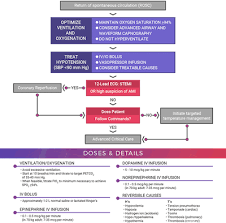 Check spelling or type a new query. Acls Algorithms Made Simple Step By Step Guides
