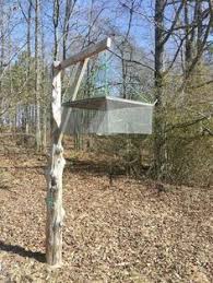 Diy Swarm Catcher Smithfarmlake Honey Bees Backyard Bee Bee Keeping Honey Bee Hives