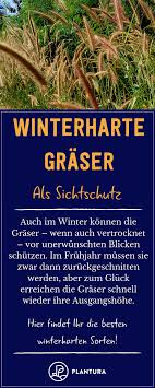 Winterharte Graser Sortenwahl Richtige Pflege Plantura Graser Pflege Plantura Richtige In 2020 Winterharte Graser Winterhart Sichtschutz Pflanzen Winterhart
