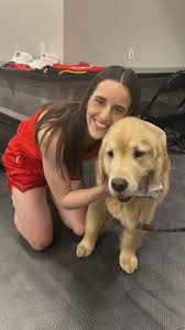 At least he smiled for the picture at the end! If only Oakley knew how  lucky he was…🤩🏀 @caitlinclark22 , What an incredible day @pawsandthinkinc  therapy teams had with the @indianafever providing a ...