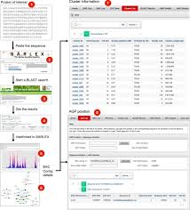 Jadinya pihak ketiga dapat mengesahkan dengan lebih mudah modal yang. Construction Of A Map Based Reference Genome Sequence For Barley Hordeum Vulgare L Scientific Data