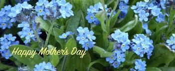 In some countries it was changed to dates that were significant to the majority religion, or to historical dates. Mother S Day Celebration Guide Mother S Day In Germany