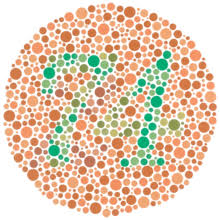 Drucken sie diesen sehtest aus und hängen sie in in augenhöhe an eine gut beleuchtete wand. Ishihara Farbtafel Wikipedia