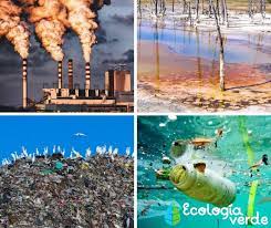 Tipos De Contaminantes Ambientales Clasificacion Y Ejemplos