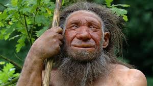 Man hat somit nicht nur die weitläufigste selektion im bereich wann lebten die neandertaler, man. Neandertaler Warum Starb Der Neandertaler Aus Urzeit Geschichte Planet Wissen