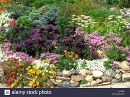 For the most blossoms, put plants that prefer full sun in full sun. Stock Photo Beautiful Annual And Perennial Flower Garden Lined With A Rock Border Edina Minnesota Mn U Flowers Perennials Flower Garden Design Flower Garden