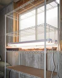 Most fluorescent lights are built to be full spectrum brightness. How To Build An Easy Diy Grow Light For Seedlings Caboose Spice Company