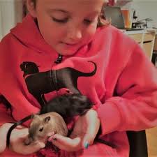 Heart & Sole Walk for Animals 2019