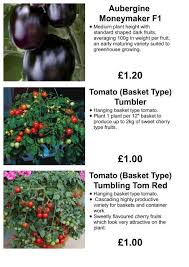 Thinking of planting a fruit tree? Pimbo Tomato Soft Fruit And Fruit Tree List