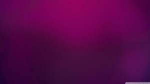 ❤ get the best purple wallpaper hd on wallpaperset. Plain Purple Backgrounds Wallpaper Cave