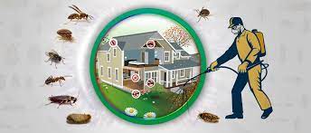 Ltd., was established in the year 1954 and is the first and largest pest management company in india. 100 Best Pest Control Services For Termite In Ahmedabad Gujarat Nearmetrade