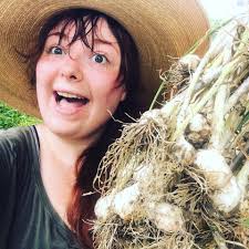 Garlic sprouting into plants in soil