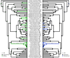 Ancestral State Reconstruction Of Selfing Left And Monoecy