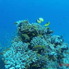 Guests of triton empire inn enjoy features like an outdoor pool, free wifi in public areas, and laundry facilities. Empire Inn Prices Hotel Reviews Hurghada Egypt Tripadvisor