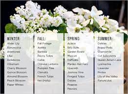 We did not find results for: Comprehensive List Of Popular Seasonal Flowers Rue Winter Wedding Flowers Seasonal Flowers Winter Flowers