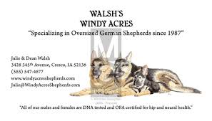We serve the midwest region of the united states including indiana, michigan and ohio with our amazing gsd puppies. Artstation Windy Acres Business Card Michael Goughan