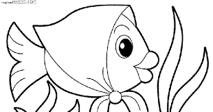 Check spelling or type a new query. 26 Gambar Ikan Hiu Kartun Hitam Putih Gambar Kartun Hd