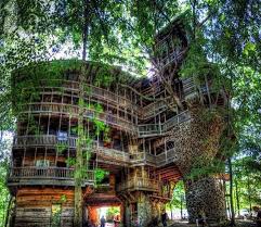 A Plus Grande Cabane Dans Les Arbres Du Monde Dans Le Tenessee Aux Etats Unis 30 Metres De Haut 10 Etages 1000m 6 Chenes Servent De Belles Cabanes Maison Dans Les Arbres