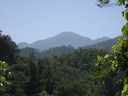 «los parisinos son conscientes por naturaleza de que la suya es una ciudad que ama las peleas de enamorados; Sierra Maestra Wikipedia