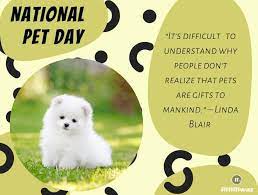 National pet parents day, slated for april 25, is the perfect way to make sure all the animal lovers in your life feel appreciated. National Pet Day 2021 Ritiriwaz