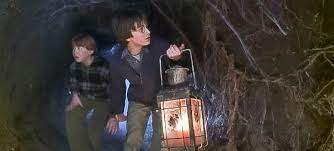 Harry Potter And The Chamber Of Secrets Harry And Ron Follow The Spiders Into The Forbidden Forest Looking Forbidden Forest Chamber Of Secrets Harry Potter