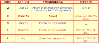 Syringomyelia Breeding Protocol For Cavalier King Charles