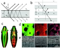There was a lot of prejudice and misogynistic behavior, and many of the employees, who were married, were sleeping around with others. Biopolymeric Photonic Structures Design Fabrication And Emerging Applications Chemical Society Reviews Rsc Publishing Doi 10 1039 C8cs01007b