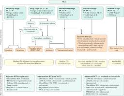 Hepatocellular carcinoma (hcc) occurs in older children and teens. Hepatocellular Carcinoma Nature Reviews Disease Primers