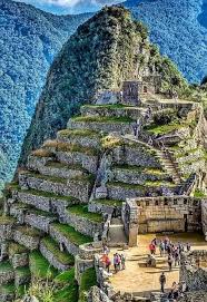 Image result for Blue Inca 2007 147