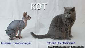 Рада может снять неприкосновенность с пяти нардепов в следующий четверг, - Парубий - Цензор.НЕТ 4530