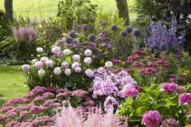 Flower Bed Dahlia Astilbe Hydrangea Phlox Sedum Garten Garten Bepflanzen Pflanzen