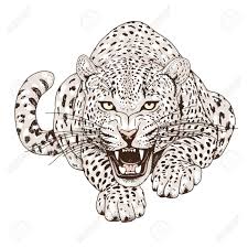 Leopard Face Tattoo Vector Illustration Print Leopard Tattoos Jaguar Tattoo Leopard Face