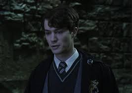 When voldemort tried to duel with harry he got another surprise: The Young Voldermorts From The Harry Potter Films Are All Grown Up And They Are Hot