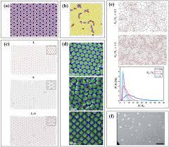 Note that i changed their tree just a thought: Pattern Detection In Colloidal Assembly A Mosaic Of Analysis Techniques Sciencedirect