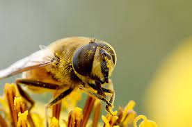 small f おしゃれまとめの人気アイデア pinterest tetsuya aoki