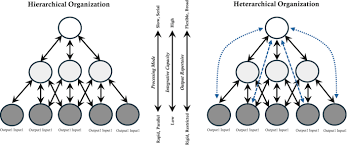 Image result for Higher Integrative Function