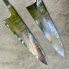 Image result for Gyrodoma hispida