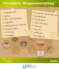 checkliste zur erstausstattung fur welpen futalis de welpen checkliste hunde welpen
