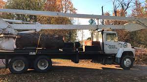 Bestway Tree Service Home Facebook